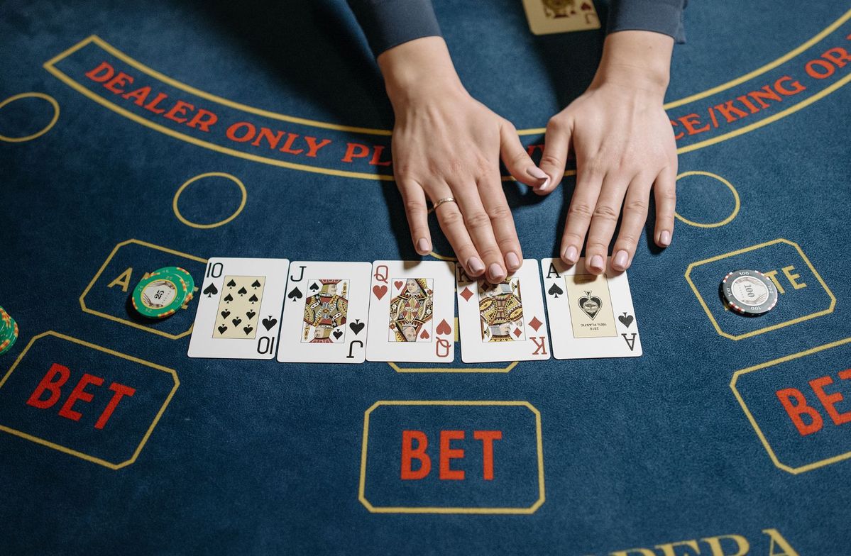 Bingo Lucky Live Betting